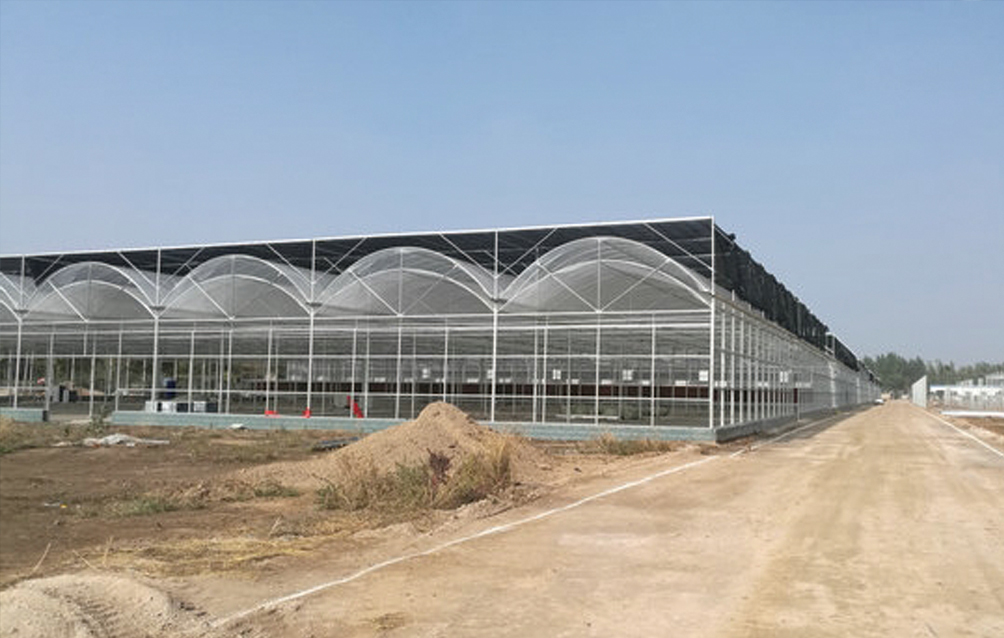 云南昆明阳光板温室