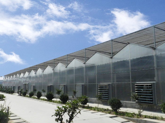 阳光板温室 (2).jpg