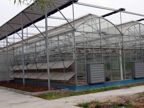阳光板温室 (6).jpg