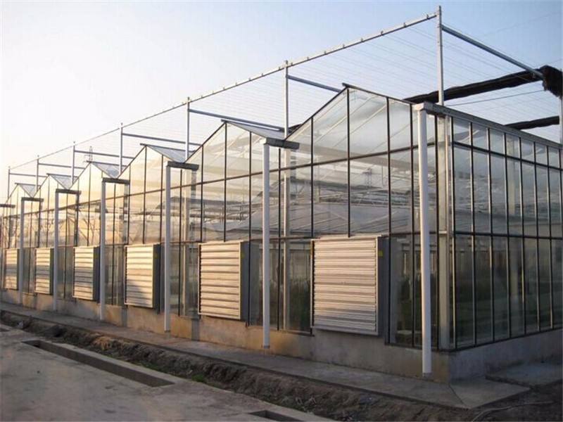 智能温室大棚 (2).jpg