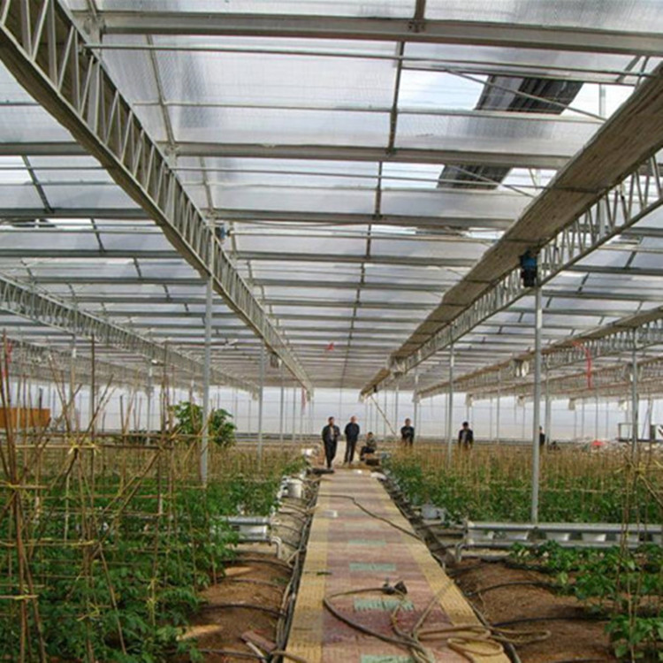 智能温室大棚 (3).jpg