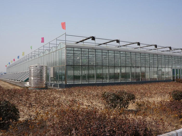 玻璃温室大棚 (4).jpg