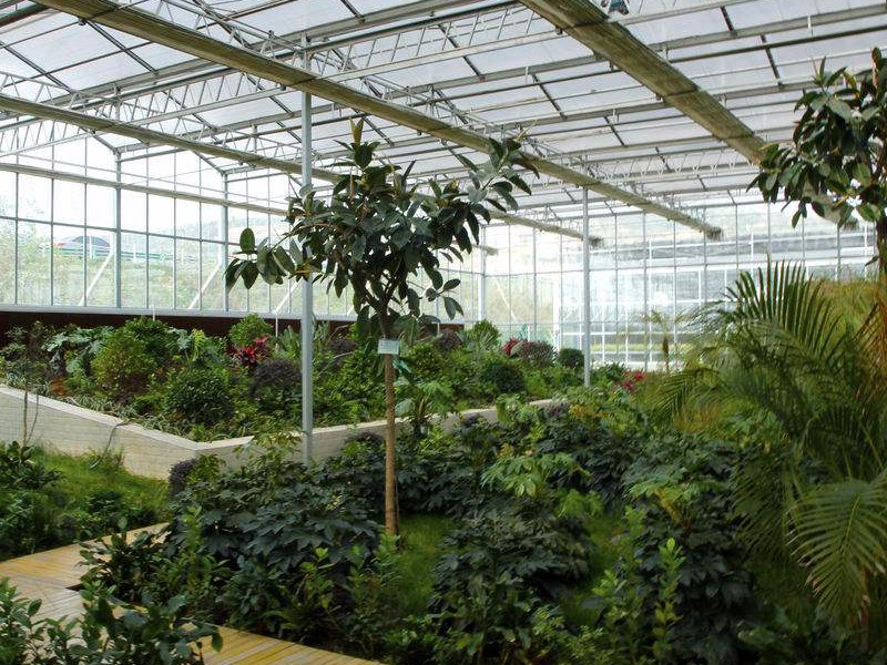 玻璃温室大棚 (5).jpg