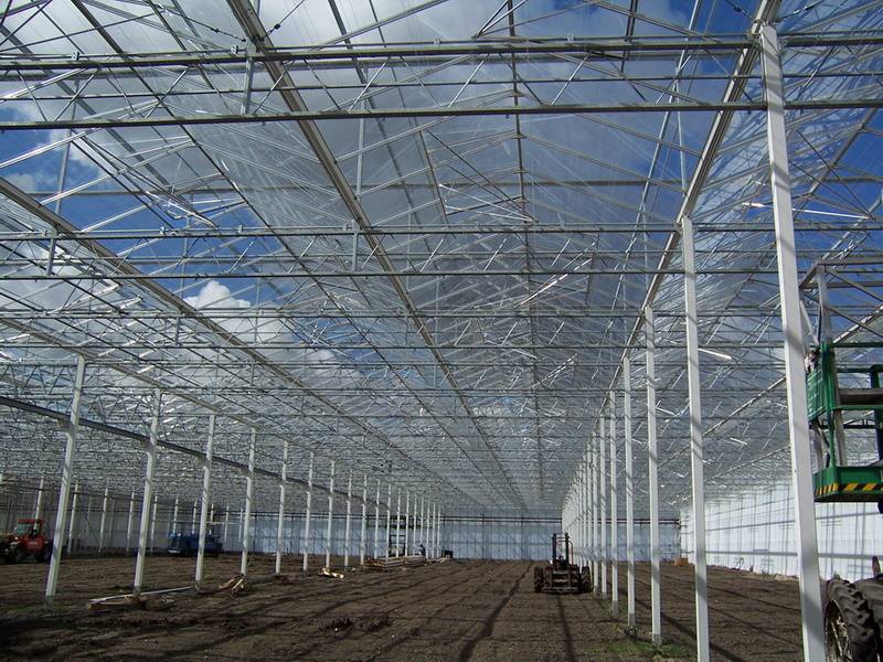 玻璃温室大棚 (6).jpg