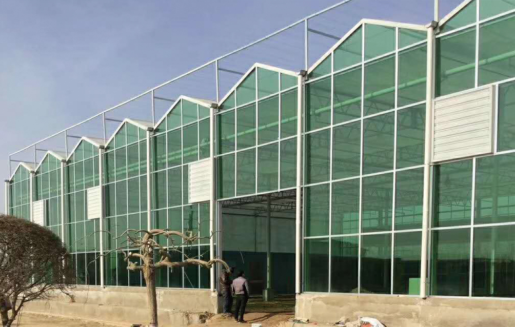 江苏徐州玻璃温室.jpg