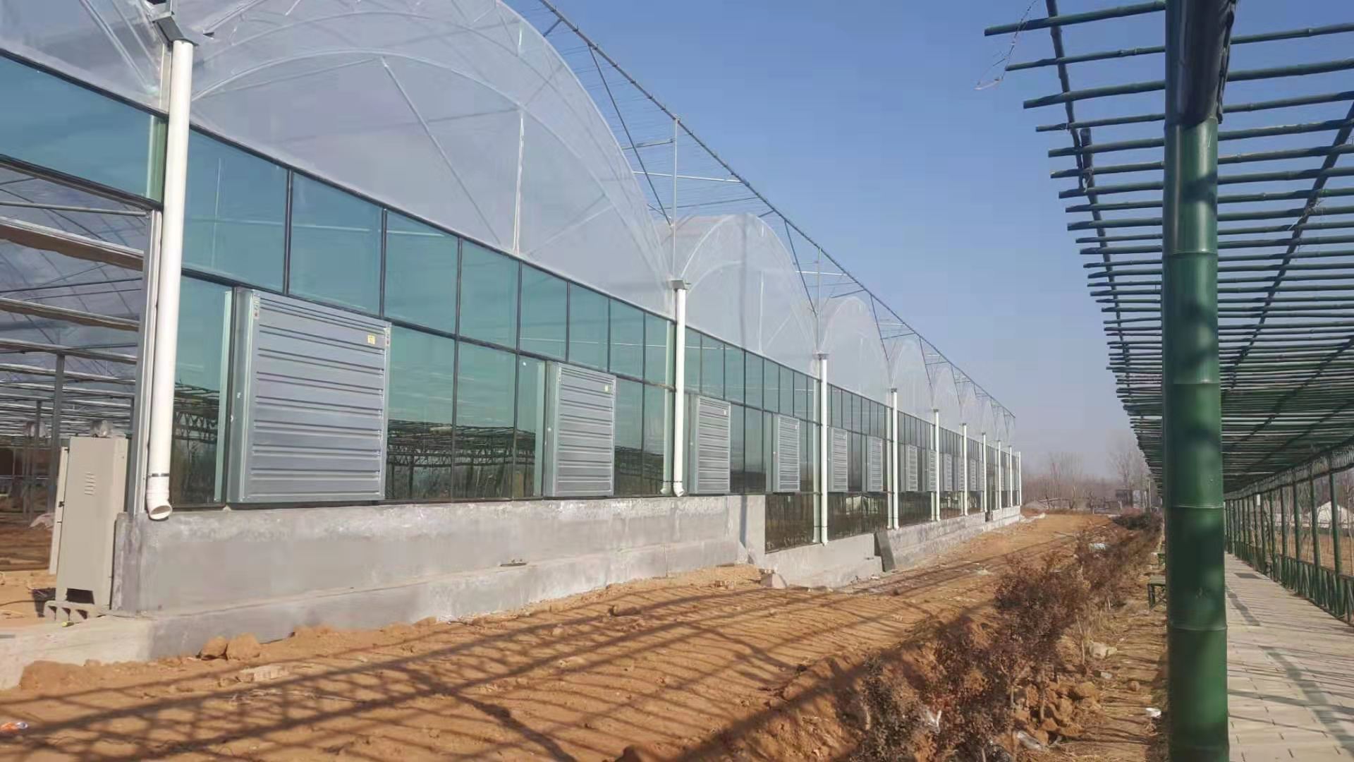 乌兹别克斯坦布哈拉薄膜温室.jpg