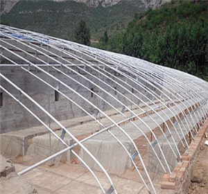 日光棚结构骨架 .png