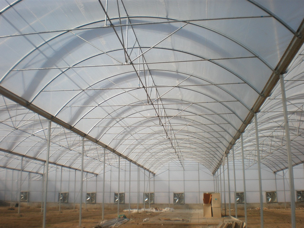连栋塑料大棚