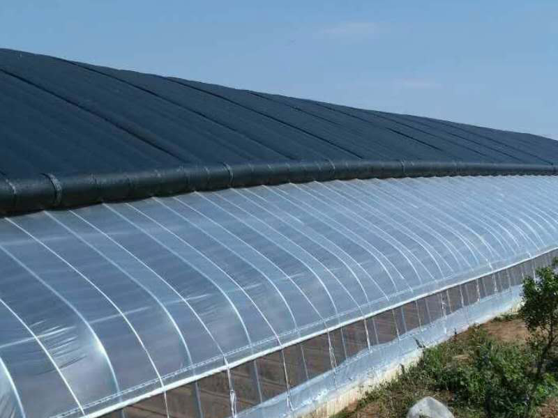 薄膜温室大棚