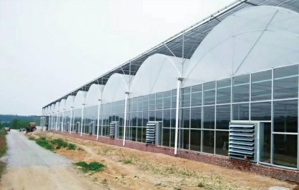 江苏连云港阳光板温室
