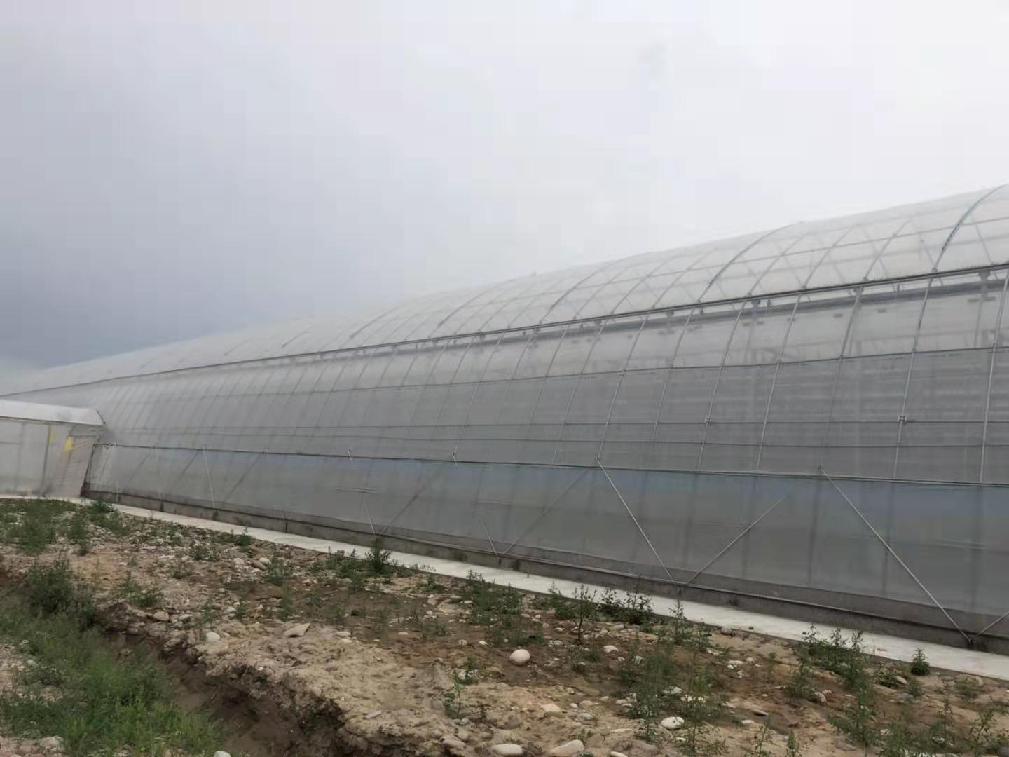 乌兹别克斯坦乌尔根奇薄膜温室