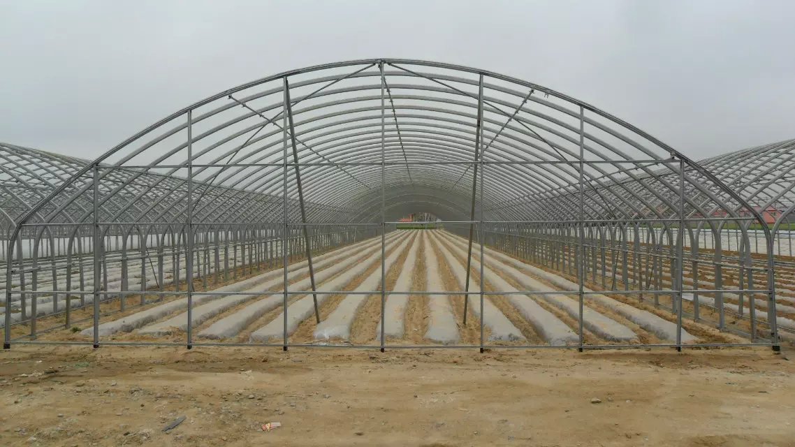 薄膜温室大棚