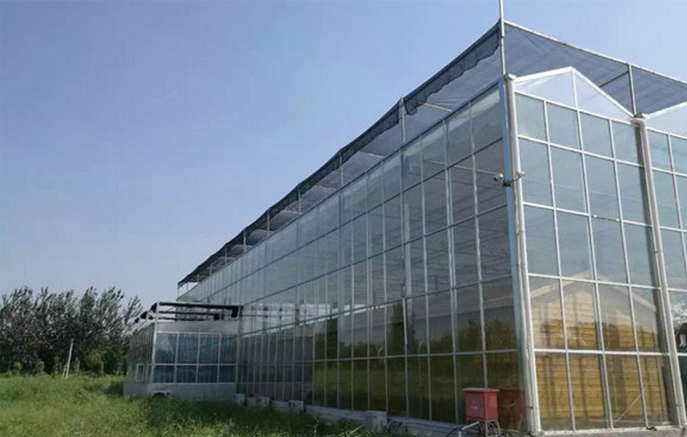 甘肃兰州玻璃温室