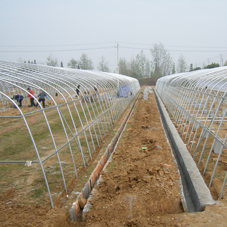 薄膜温室大棚