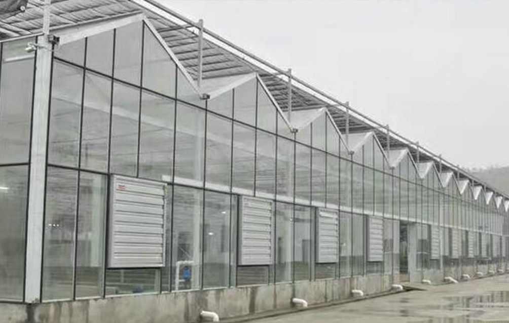 江西南昌玻璃温室