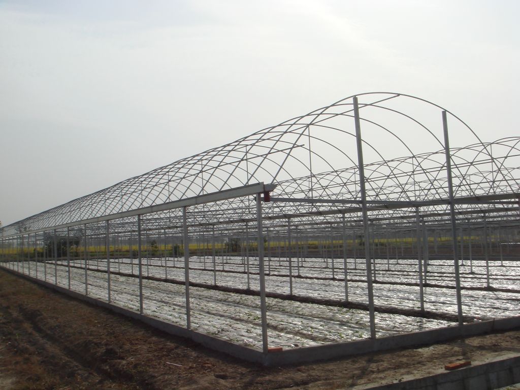连栋塑料大棚