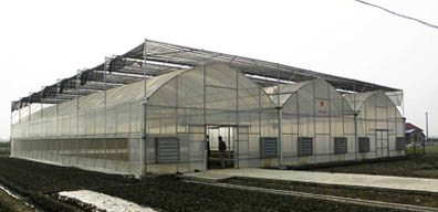 山东泰蓝特温室工程有限公司－z