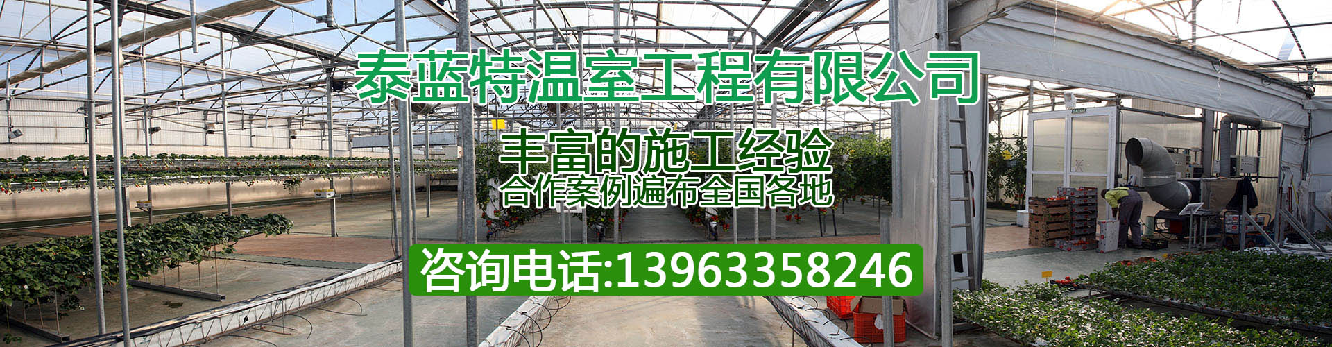 山东泰蓝特温室工程有限公司－z