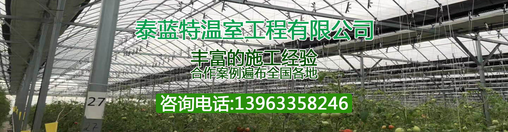 山东泰蓝特温室工程有限公司－z